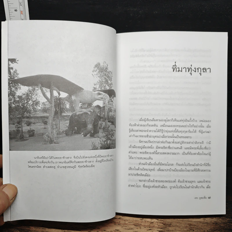ตนทุ่งกุลา - เดช ภูสองชั้น รูปที่ 9