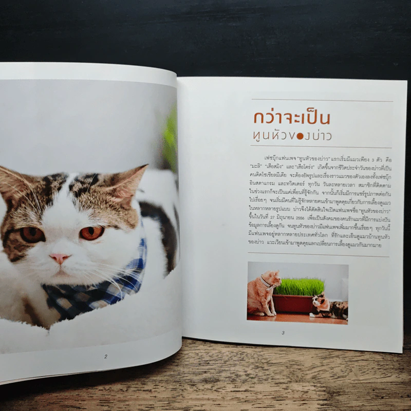 ทูนหัวของบ่าว - นัชญ์ ประสพสิน รูปที่ 8