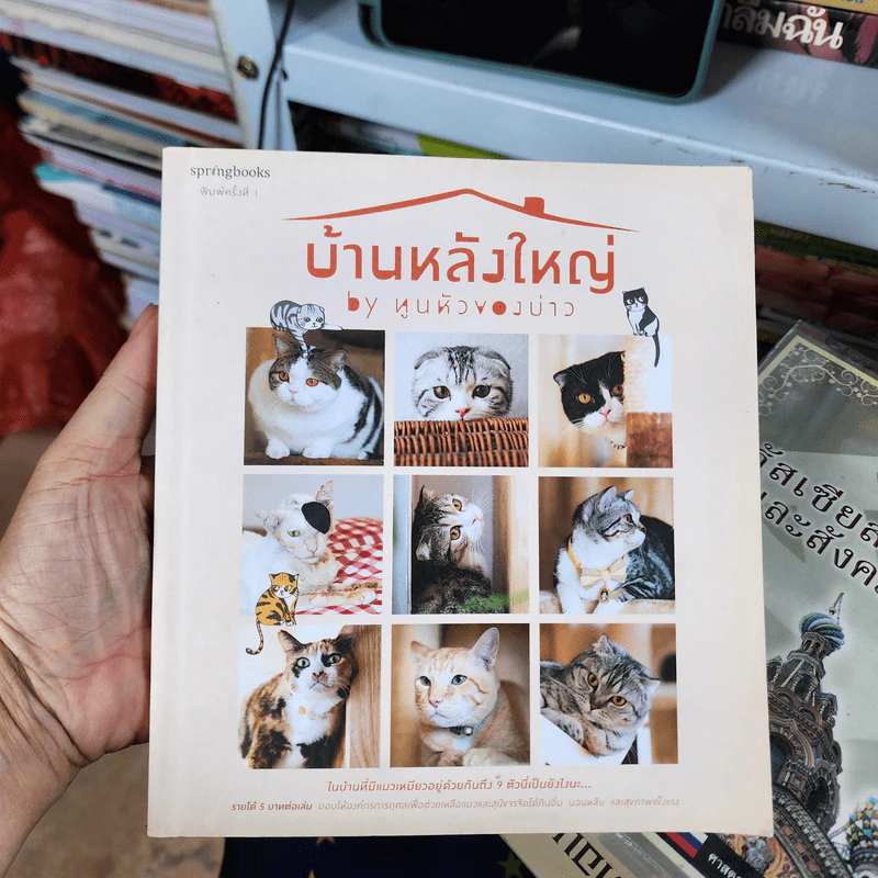 บ้านหลังใหญ่ - ทูนหัวของบ่าว รูปที่ 1