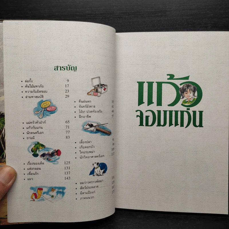 แก้วจอมแก่น - แว่นแก้ว รูปที่ 5