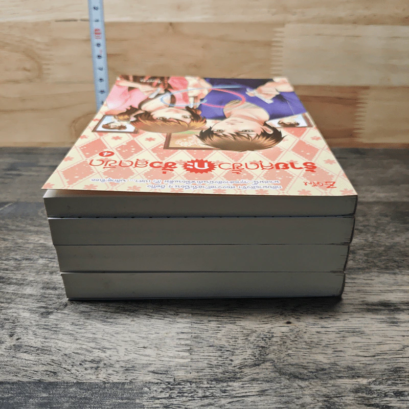 Boxset ร้ายสุดขั้วกะชั่วสุดขีด 4 เล่มจบ - ใบสน รูปที่ 5