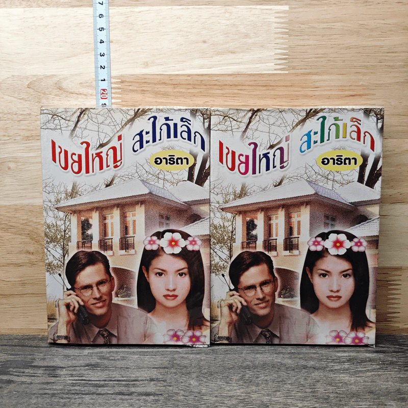 เขยใหญ่สะใภ้เล็ก 2 เล่มจบ - อาริตา รูปที่ 1