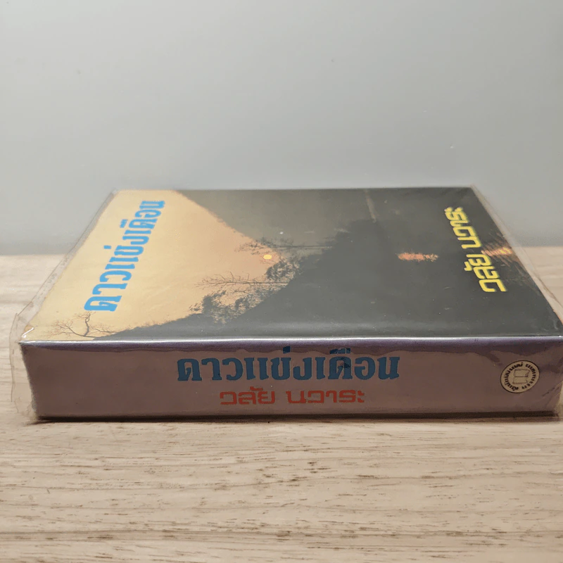 ดาวแข่งเดือน - วลัย นวาระ รูปที่ 2