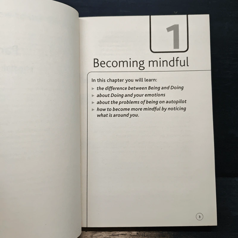 Teach Yourself Mindfulness Made Easy - Martha Langley รูปที่ 8