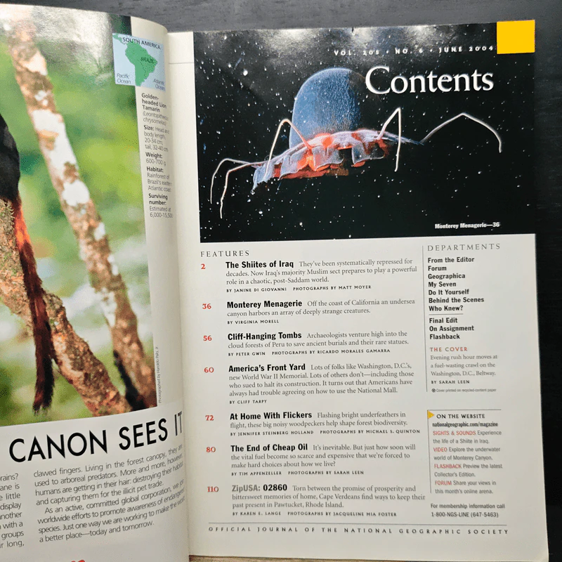 NATIONAL GEOGRAPHIC June 2004 รูปที่ 7