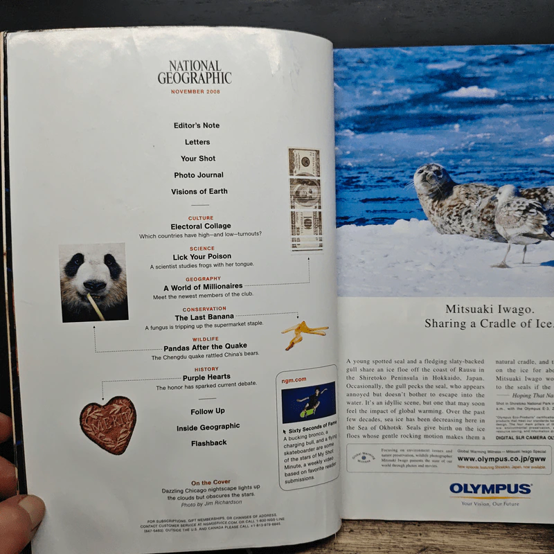 NATIONAL GEOGRAPHIC November 2008 รูปที่ 8