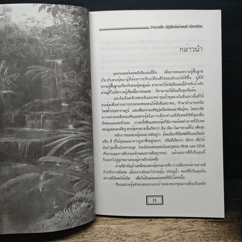 ฮวงจุ้ย สำนักรูปลักษณ์ เล่ม 1 การประยุกต์ใช้กับชีวิตใหม่ - อำนวยชัย ปฏิพัทธ์เผ่าพงศ์ รูปที่ 9