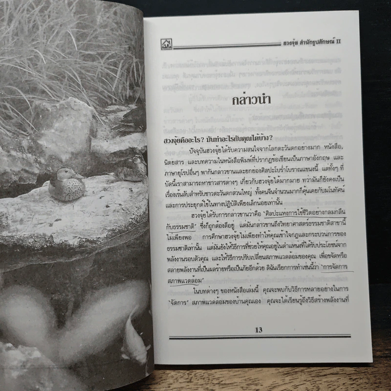 ฮวงจุ้ย สำนักรูปลักษณ์ II - อำนวยชัย ปฏิพัทธ์เผ่าพงศ์ รูปที่ 9