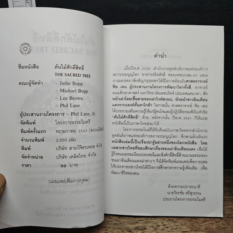 ต้นไม้ศักดิ์สิทธิ์ The Sacred Tree - ดร.ฟิล เลน รูปที่ 6