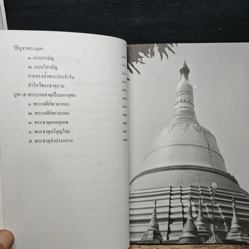 พระมหาธาตุมุเตา พระมหาเจดีย์ศักดิ์สิทธิ์แห่งความสำเร็จ - พ.สุวรรณ รูปที่ 8