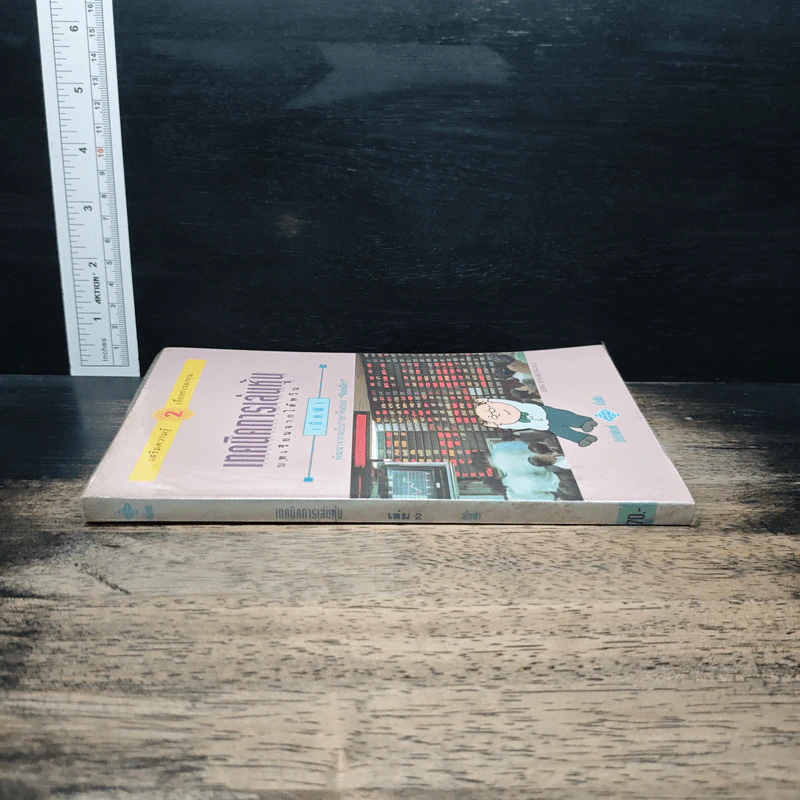 เทคนิคการเล่นหุ้น เล่ม 2 บทเรียนจากไต้หวัน - เบี้ยฟ้า รูปที่ 3