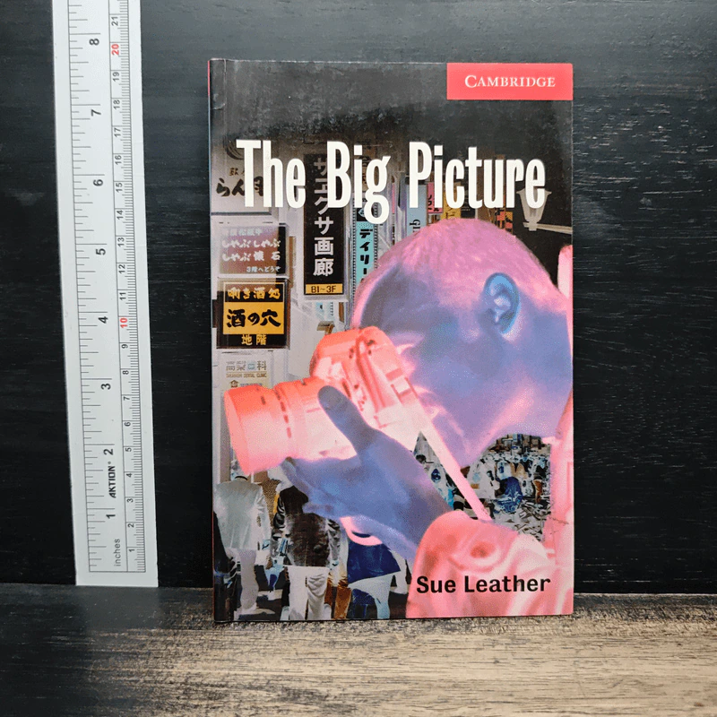 The Big Picture - Sue Leather รูปที่ 1