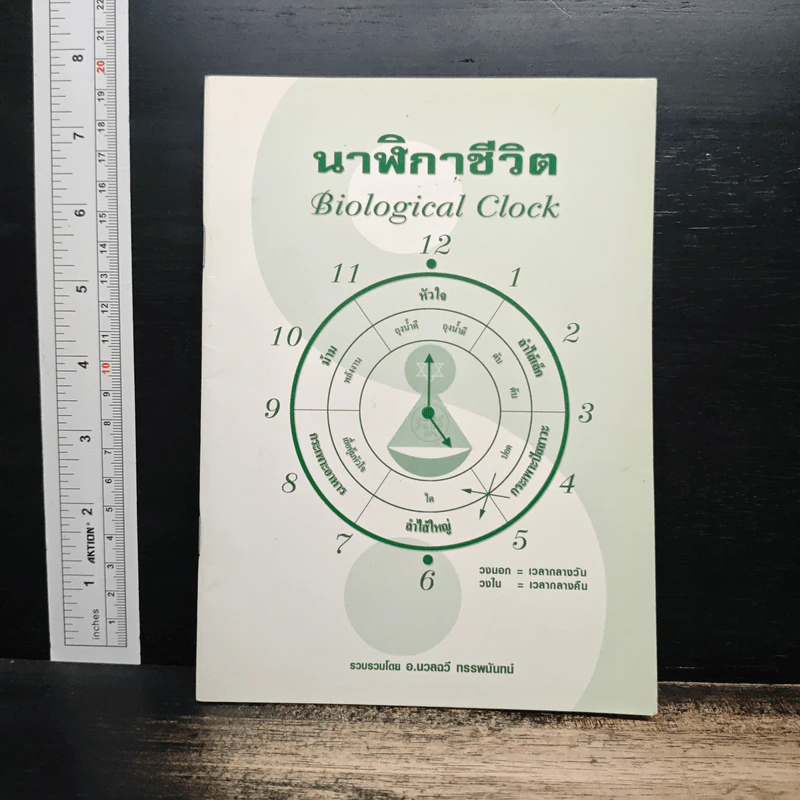 นาฬิกาชีวิต Biological Clock - อ.นวลฉวี ทรรพนันทน์ รูปที่ 1