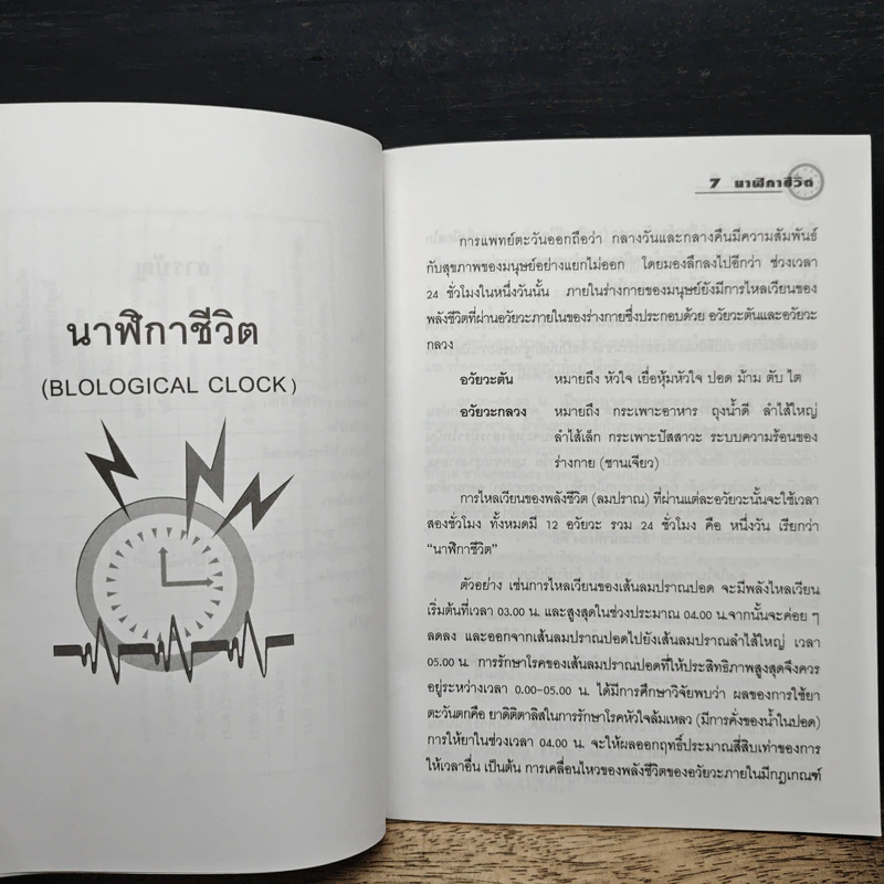 นาฬิกาชีวิต Biological Clock - อ.นวลฉวี ทรรพนันทน์ รูปที่ 8