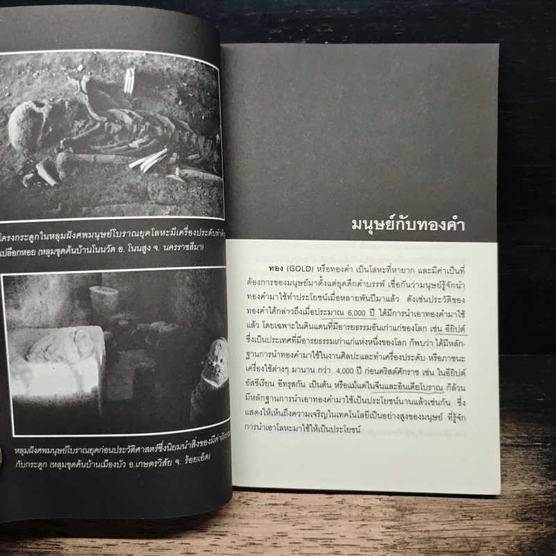 ขุมทรัพย์ทองคำในประเทศไทย - ทรงสมัย สุทธิธรรม รูปที่ 8