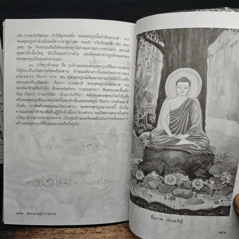 พระพุทธเจ้าปางต่างๆ - อาจารย์เศรษฐมันตร์ กาญจนกุล รูปที่ 8