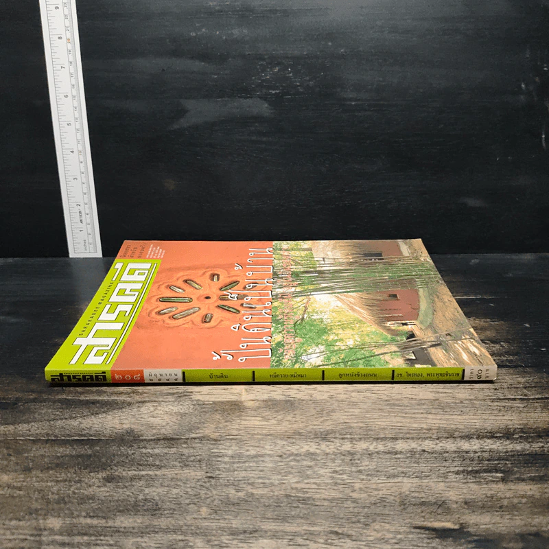 สารคดี ฉบับที่ 208 ปีที่ 18 มิ.ย.2545 บ้านดิน รูปที่ 3