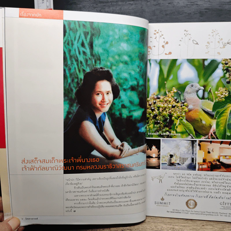 สารคดี ปีที่ 24 ฉบับที่ 278 เม.ย.2551 รูปที่ 7