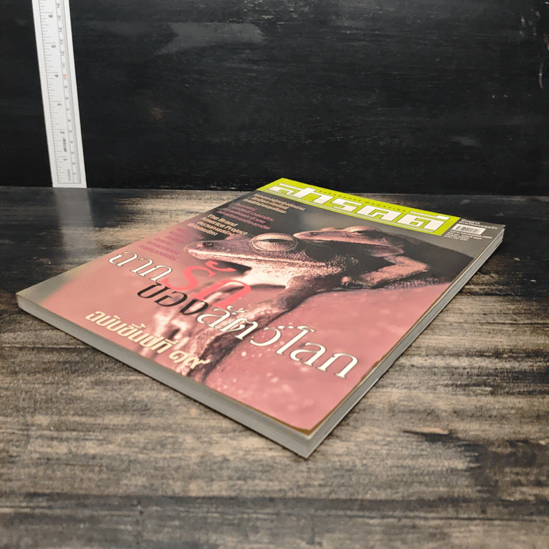 สารคดี ปีที่ 19 ฉบับที่ 217 มี.ค.2546 รูปที่ 4