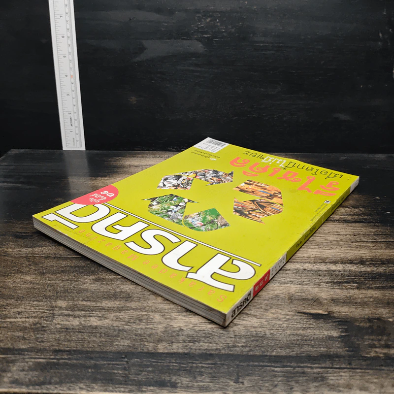 สารคดี ปีที่ 25 ฉบับที่ 289 มี.ค.2552 รูปที่ 5