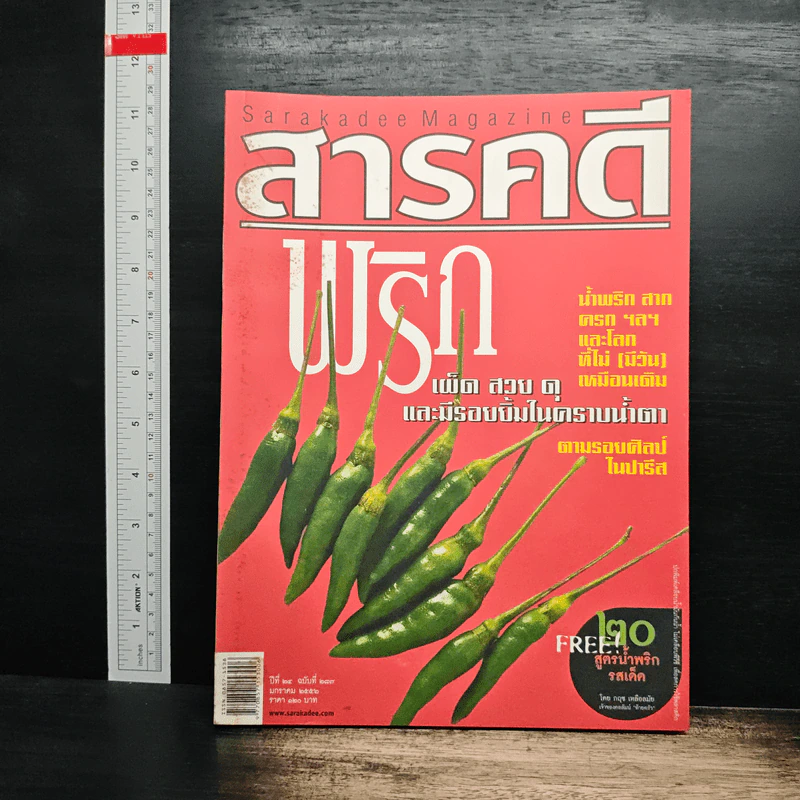 สารคดี ปีที่ 24 ฉบับที่ 287 ม.ค.2552 รูปที่ 1