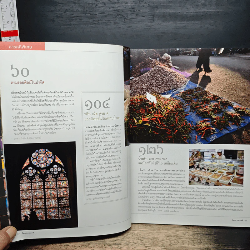 สารคดี ปีที่ 24 ฉบับที่ 287 ม.ค.2552 รูปที่ 9