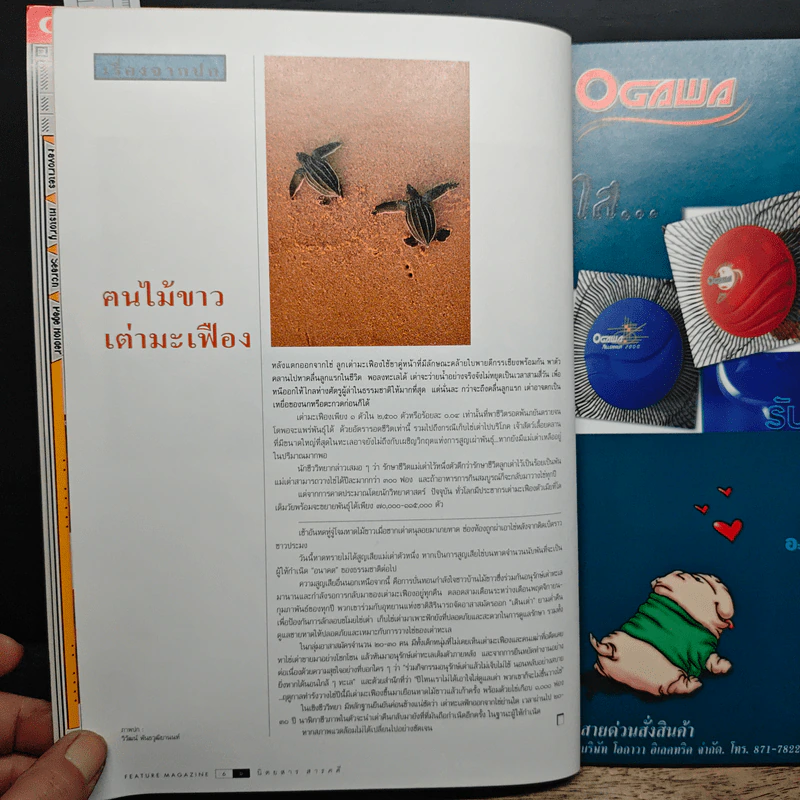 Feature Magazine สารคดี ปีที่ 16 ฉบับที่ 184 มิ.ย.2543 รูปที่ 7