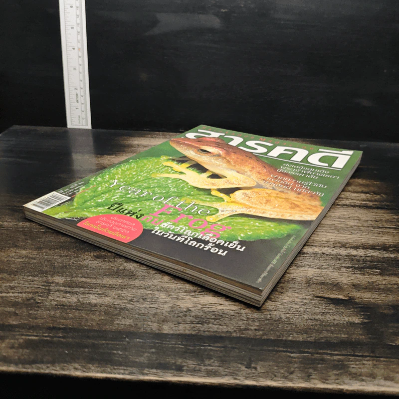 สารคดี ปีที่ 24 ฉบับที่ 286 ธ.ค.2551 รูปที่ 4