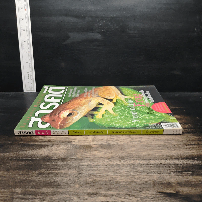 สารคดี ปีที่ 24 ฉบับที่ 286 ธ.ค.2551 รูปที่ 3
