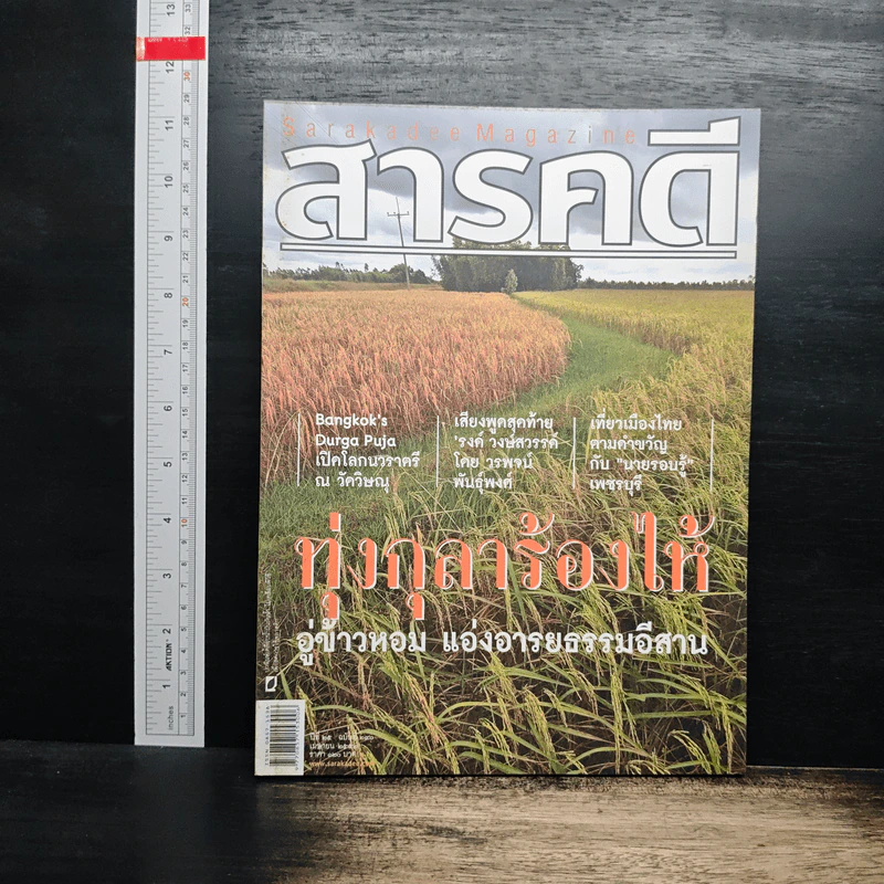 สารคดี ปีที่ 25 ฉบับที่ 290 เม.ย.2552 รูปที่ 1