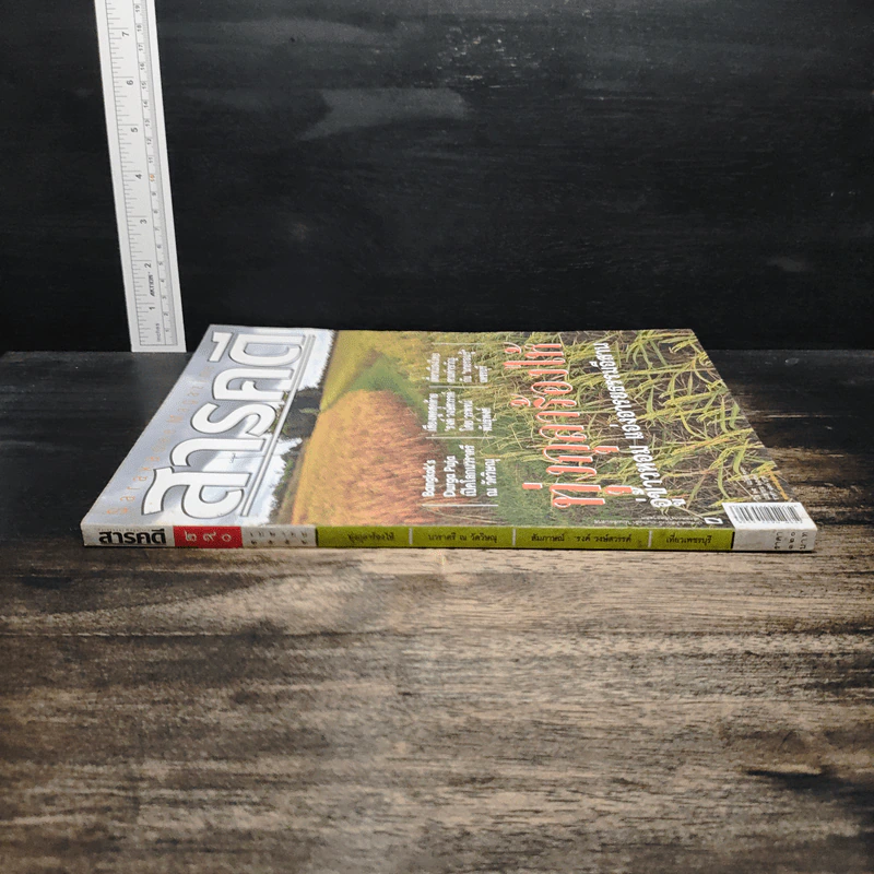 สารคดี ปีที่ 25 ฉบับที่ 290 เม.ย.2552 รูปที่ 3