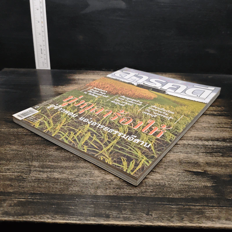 สารคดี ปีที่ 25 ฉบับที่ 290 เม.ย.2552 รูปที่ 4
