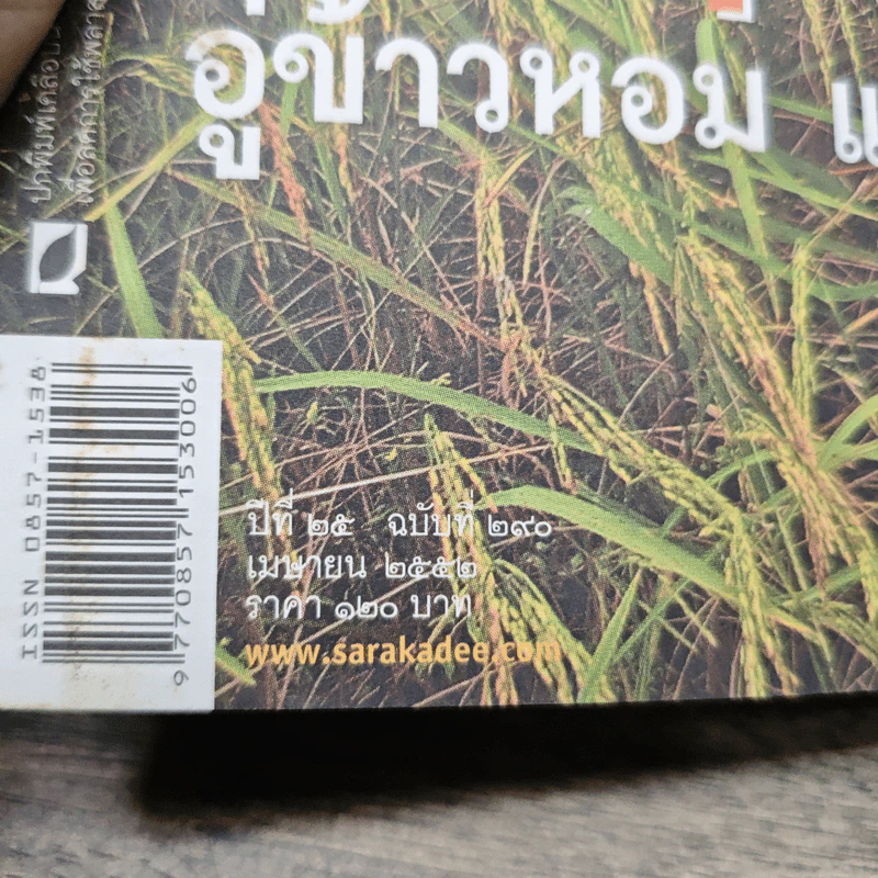 สารคดี ปีที่ 25 ฉบับที่ 290 เม.ย.2552 รูปที่ 6