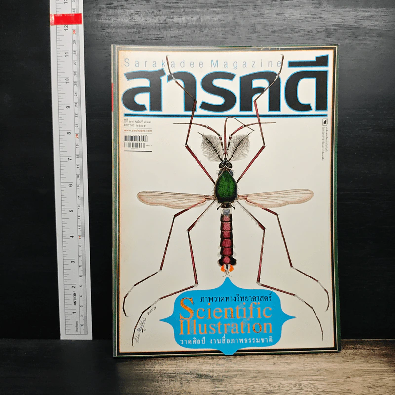 สารคดี ปีที่ 27 ฉบับที่ 323 ม.ค2555 รูปที่ 1