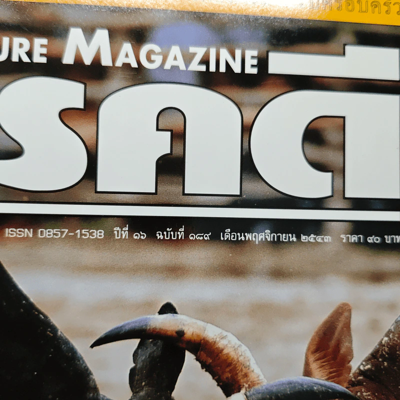 Feature Magazine สารคดี ปีที่ 16 ฉบับที่ 189 พ.ย.2543 รูปที่ 6