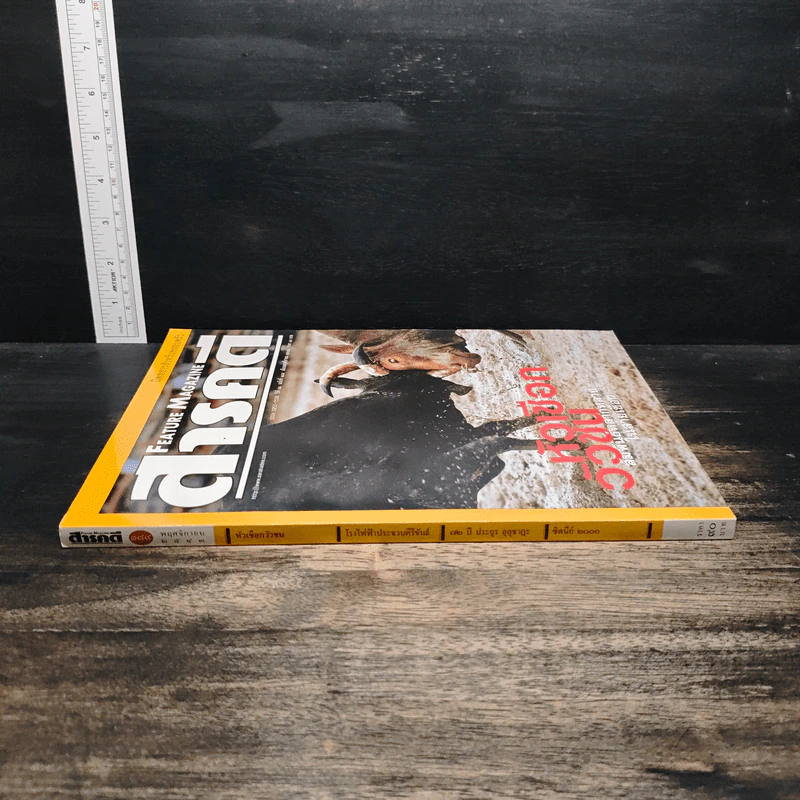 Feature Magazine สารคดี ปีที่ 16 ฉบับที่ 189 พ.ย.2543 รูปที่ 3