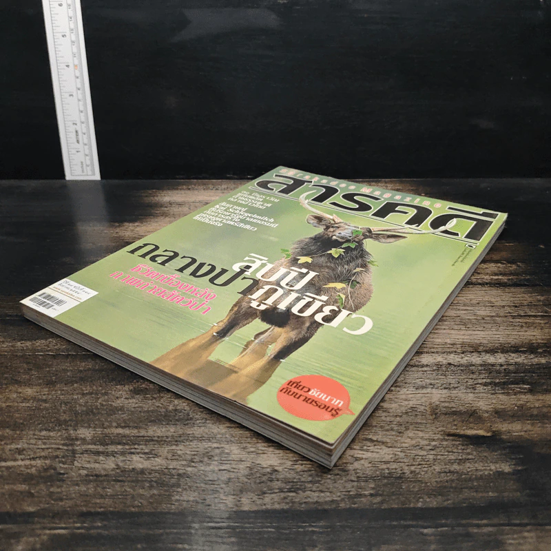 สารคดี ปีที่ 27 ฉบับที่ 318 ส.ค.2554 รูปที่ 4