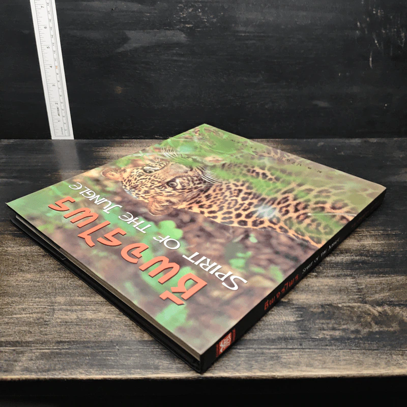 ชีพจรไพร Spirit of the Jungle รูปที่ 5