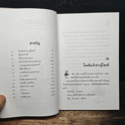 น้องเล็กยิ่งร้ายใหญ่ - จูดี บลูม, พลุแดด รูปที่ 7