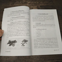 คู่มือบอนไซ The bonsai Handbook - พรรรณทวี พรประเสริฐกุล รูปที่ 9