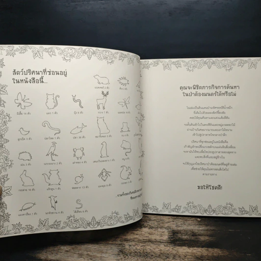 ป่าต้องมนต์ Enchanted Forest - Johanna Basford, เอื้อยจิตร รูปที่ 7