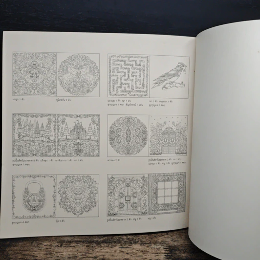 ป่าต้องมนต์ Enchanted Forest - Johanna Basford, เอื้อยจิตร รูปที่ 10