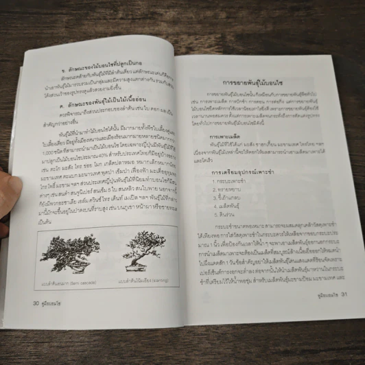 คู่มือบอนไซ The bonsai Handbook - พรรรณทวี พรประเสริฐกุล รูปที่ 9