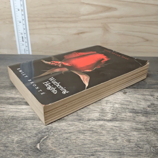 Heights Wuthering - Emily Brontë รูปที่ 3