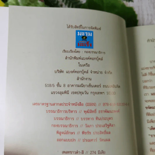 มะรุม 5 ธาตุ เสริมภูมิคุ้มกันมะเร็ง รูปที่ 7