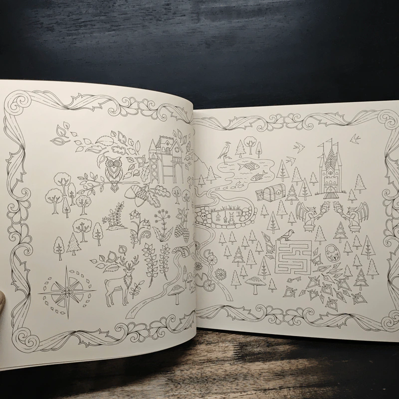 ป่าต้องมนต์ Enchanted Forest - Johanna Basford, เอื้อยจิตร รูปที่ 8