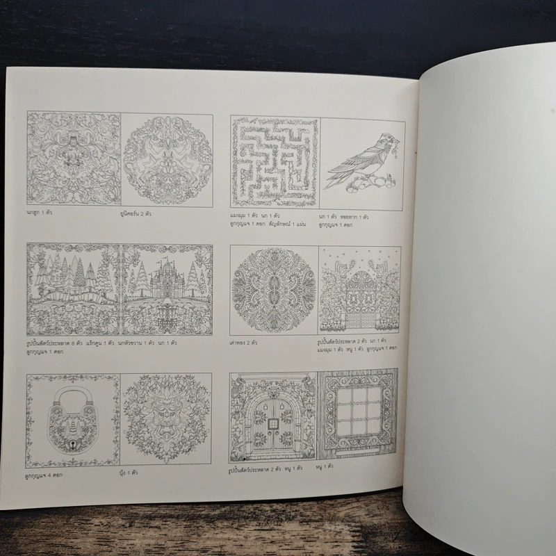 ป่าต้องมนต์ Enchanted Forest - Johanna Basford, เอื้อยจิตร รูปที่ 10