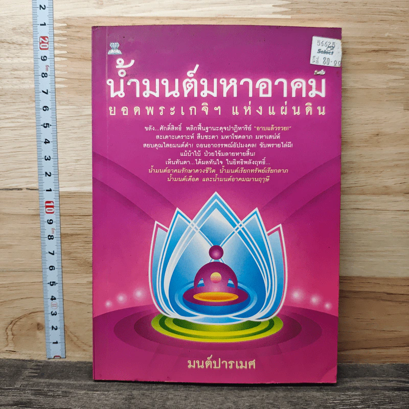 น้ำมนต์มหาอาคม ยอดพระเกจิฯ แห่งแผ่นดิน - มนต์ปารเมศ รูปที่ 1