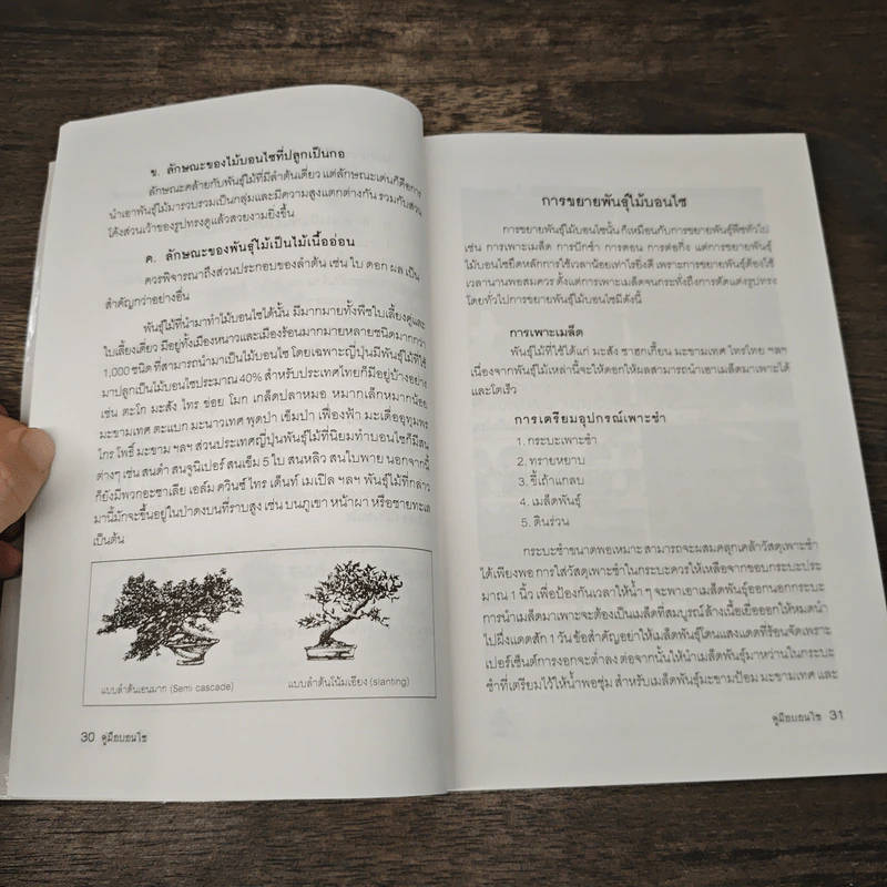 คู่มือบอนไซ The bonsai Handbook - พรรรณทวี พรประเสริฐกุล รูปที่ 9