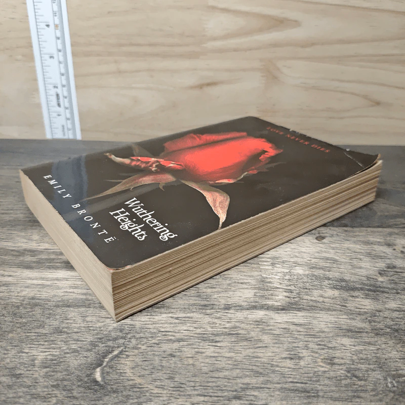 Heights Wuthering - Emily Brontë รูปที่ 3